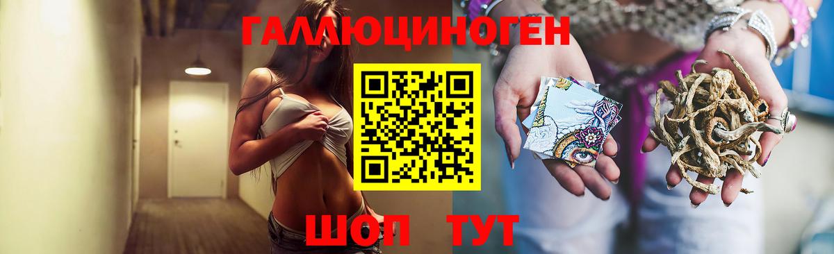 Якутск  Псилоцибиновые грибы Cubensis  Вход с VPN 