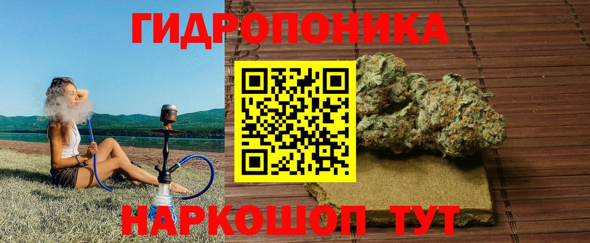 Бошки марихуана LSD WEED  Конопля тримм  Вход с VPN  Бошки марихуана сатива  Якутск  Бошки марихуана MAZAR 